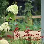 Οργανωμένο κάμπινγκ Aughavannagh Yurt Glamping Aughrim