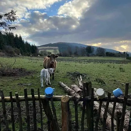 Aughavannagh Yurt Glamping *