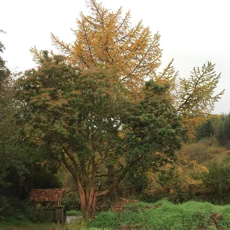 Luxuszelt Aughavannagh Yurt Glamping