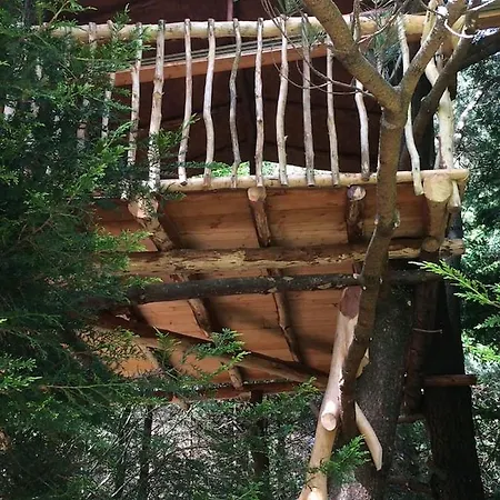 Campo de lujo Aughavannagh Yurt Glamping