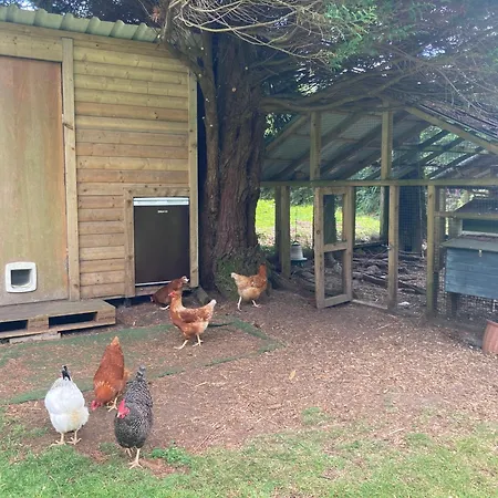 Glamping Aughavannagh Yurt Glamping