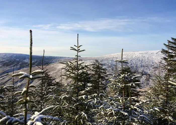 럭셔리텐트 Aughavannagh Yurt Glamping