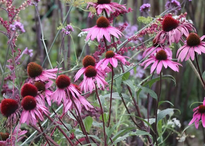 Роскошный шатер Aughavannagh Yurt Glamping Охрим