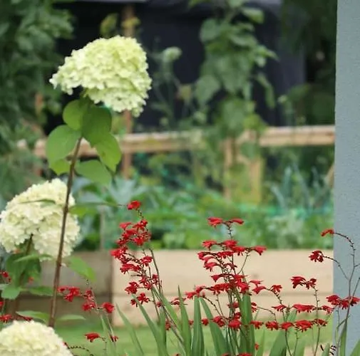 Luxuszelt Aughavannagh Yurt Glamping Aughrim