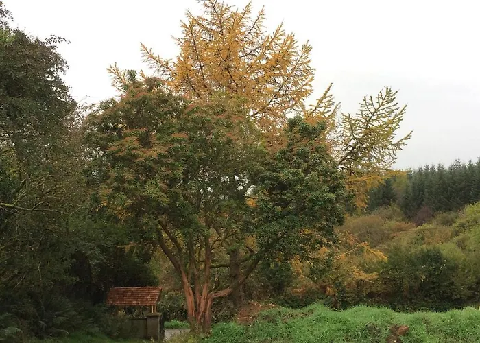 Роскошный шатер Aughavannagh Yurt Glamping