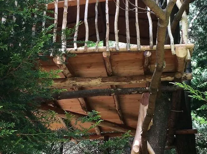 Luxuszelt Aughavannagh Yurt Glamping