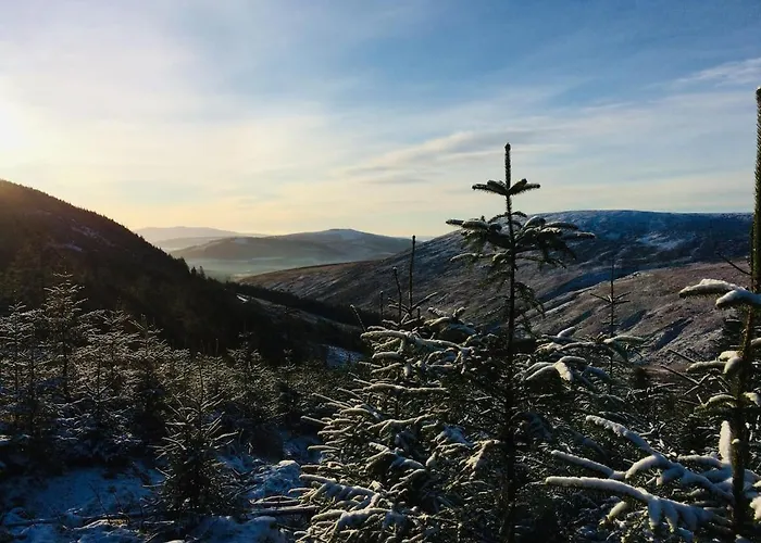 Роскошный шатер Aughavannagh Yurt Glamping *