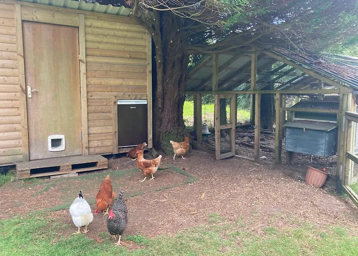 Роскошный шатер Aughavannagh Yurt Glamping